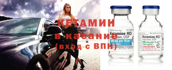 стафф Новодвинск