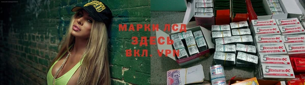 гашик Новозыбков