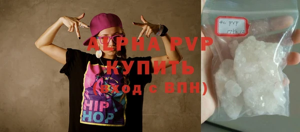 стафф Новодвинск