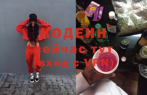 гашик Новозыбков