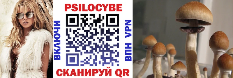 Псилоцибиновые грибы Magic Shrooms  Горячеводский 