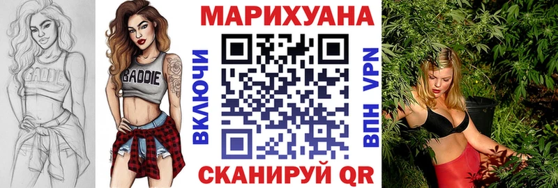 Конопля гибрид  Горячеводский 